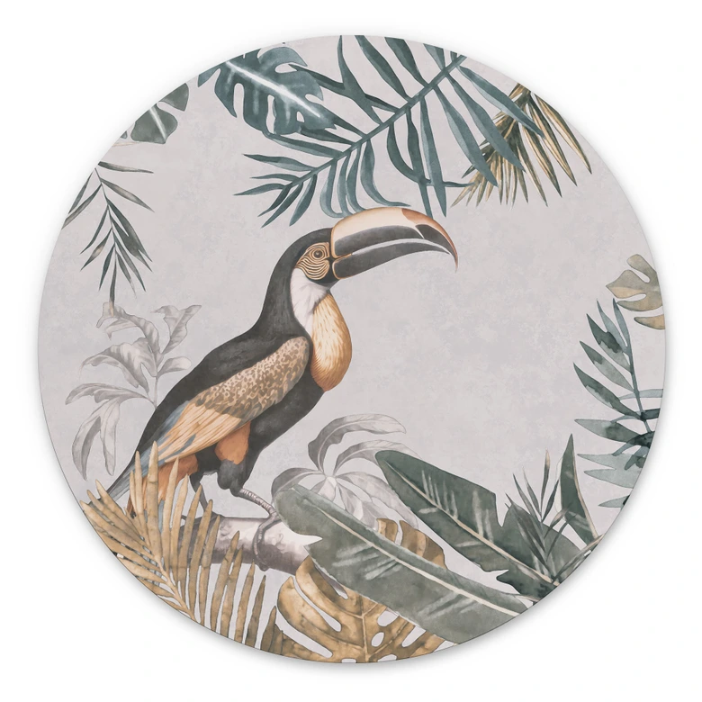 Wandbild Tropischer Wald mit Tukan - Haase - Alu-Dibond - Rund 