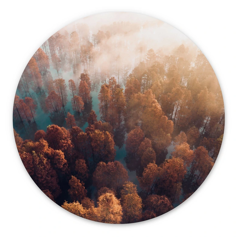 Wandbild Herbstwald im Nebel - Ioricon - Alu-Dibond - Rund 