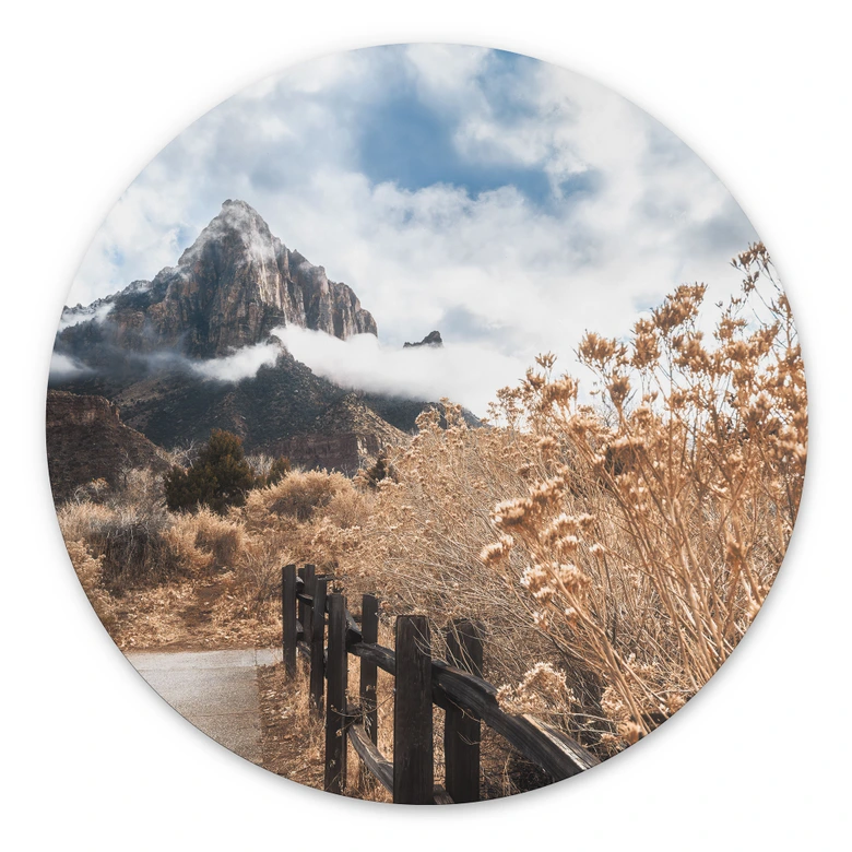 Dibond Wanddecoratie Tropische bladeren - Haase 