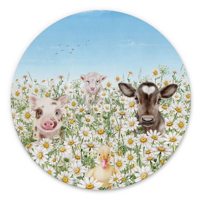 Wandbild Bauernhoftiere auf der Blumenwiese - Kikki Belle - Alu-Dibond - Rund 