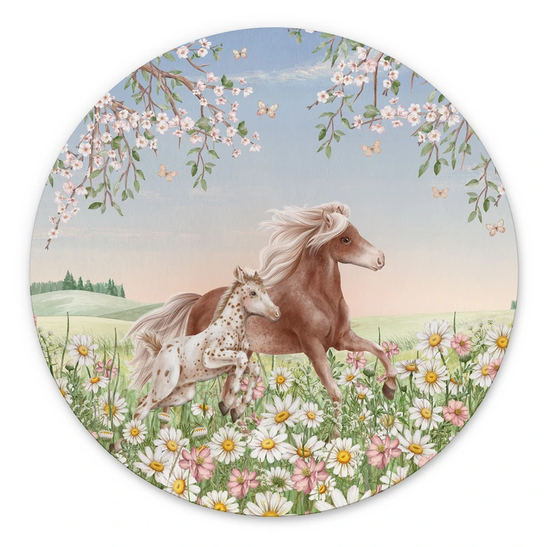 Wandbild Pferde auf der Blumenwiese - Kikki Belle - Alu-Dibond Rund 
