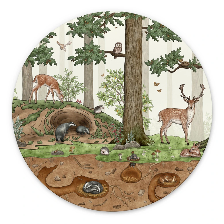 Wandbild Wimmelbild Waldtiere - Kikki Belle - Alu-Dibond Rund 