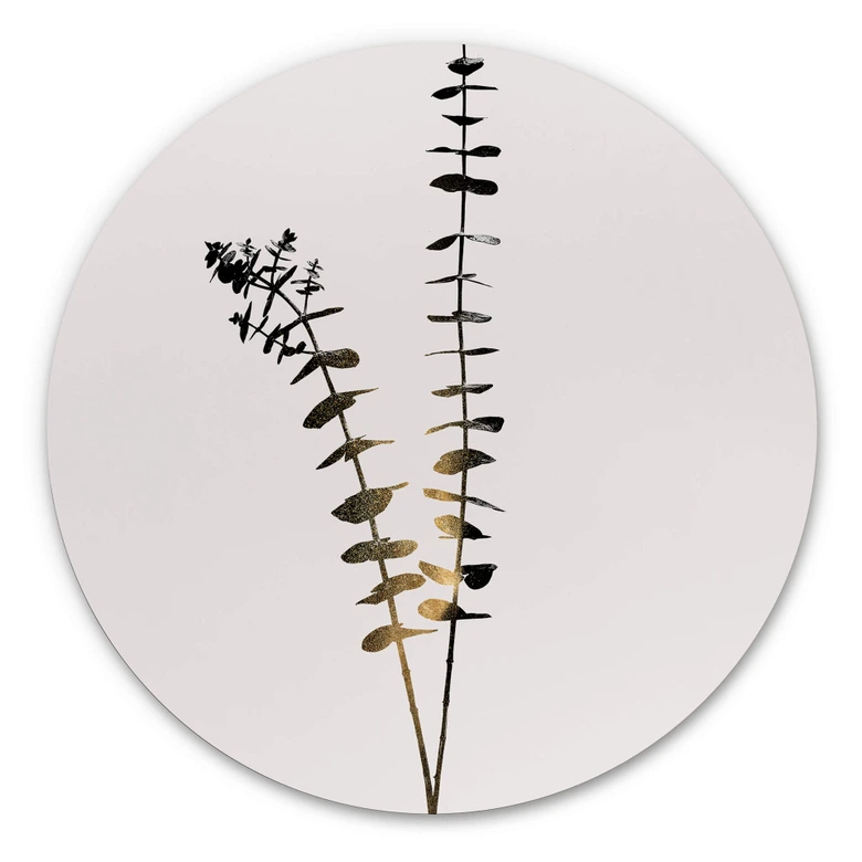 Tableau en alu-Dibond Kubistika - Eucalyptus noir et doré - Rond 