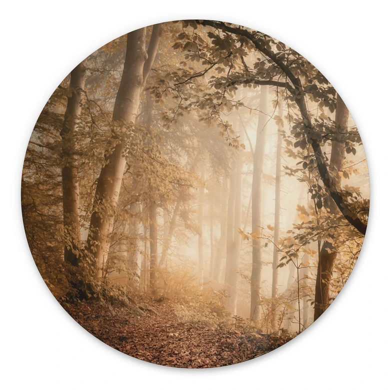 Wandbild Wald im morgendlichen Nebel - Maier - Alu-Dibond - Rund 