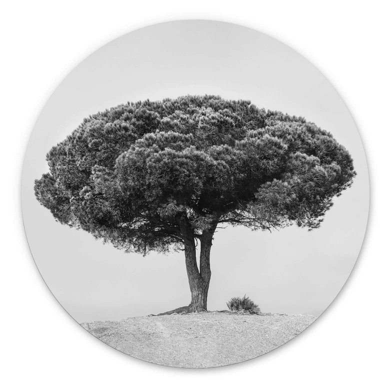 Wandcirkel Martin - Boom in het Zwart Wit 