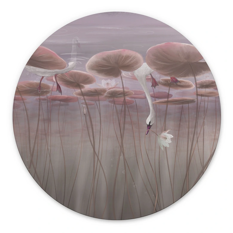 Wandbild Lotusblumen mit Schwan im Wasser in Altrosa - Ms Tiff - Alu-Dibond Rund 