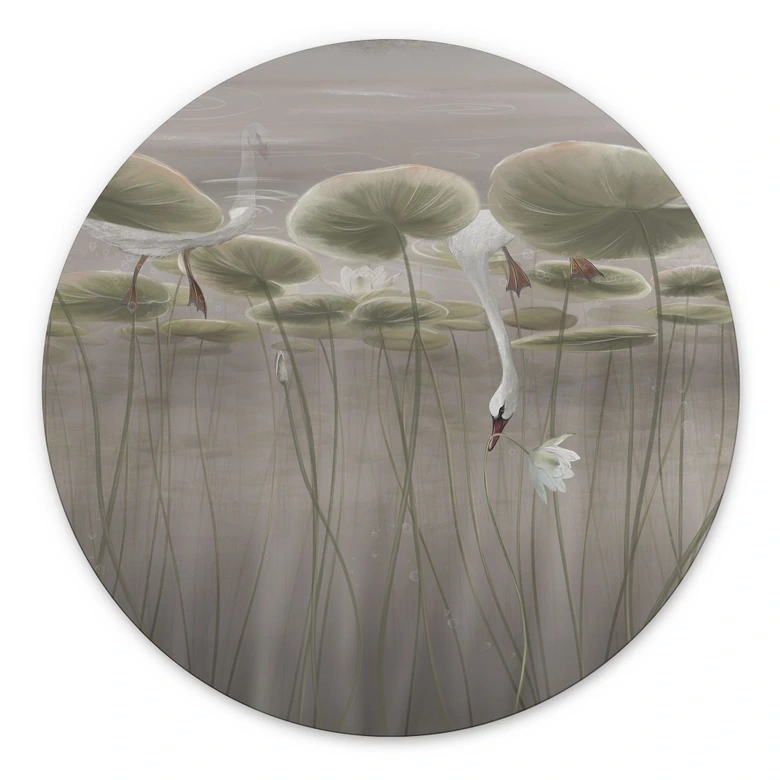 Wandbild Lotusblumen mit Schwan im Wasser in Grau - Ms Tiff - Alu-Dibond Rund 