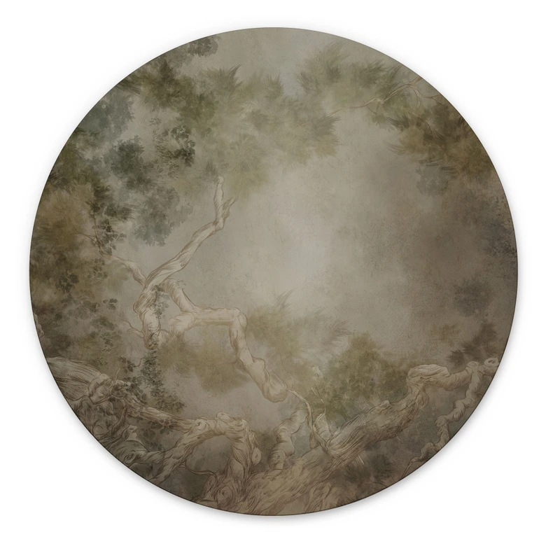 Wandbild Wald mit Blick in die Baumwipfel - Ms Tiff - Alu-Dibond Rund 