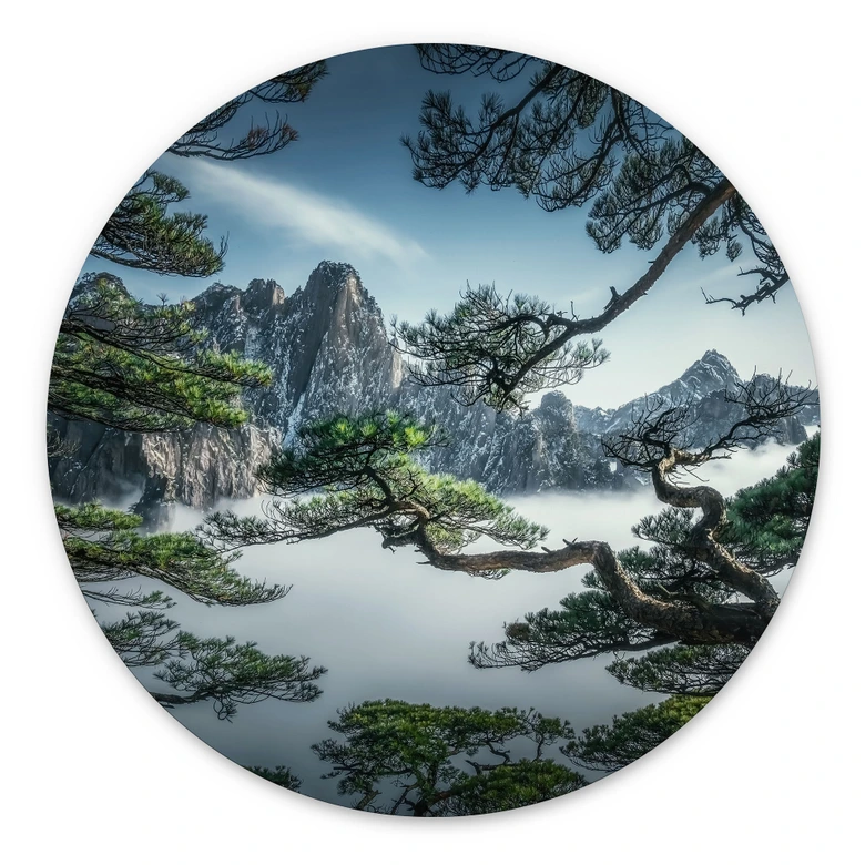 Wandbild Kiefernwald im Huang Shan Gebirge - NingYun Ye - Alu-Dibond Rund 