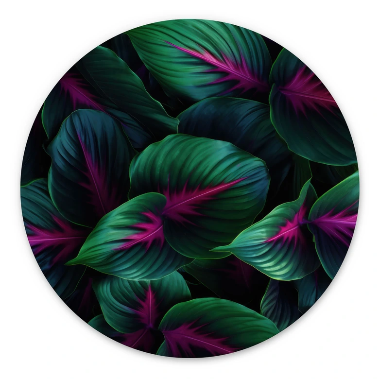 Dibond Wanddecoratie Kleurrijke jungleplanten - Paksoylu 