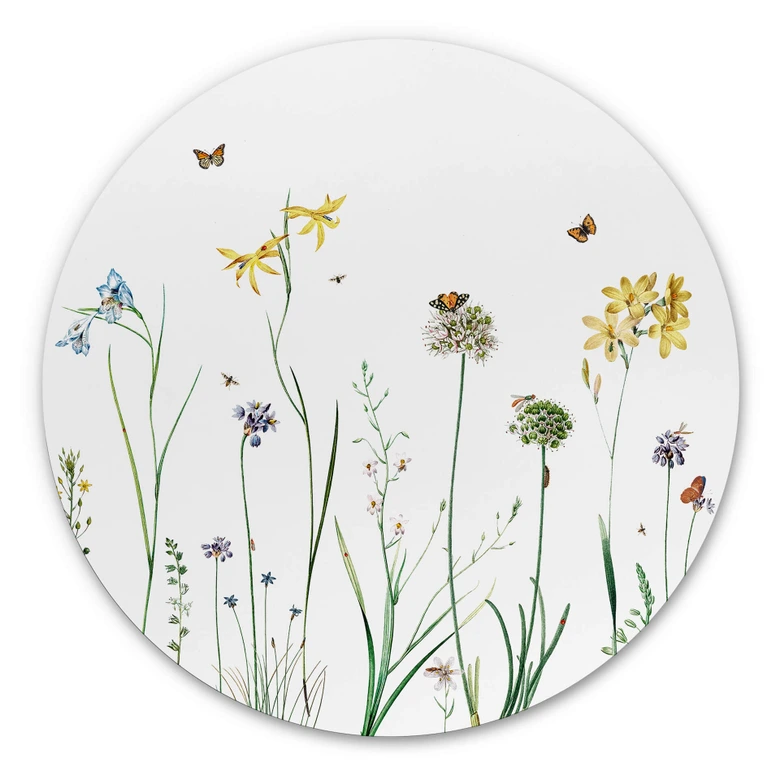 Wandcirkel Sir Edward - Butterfly Magic 