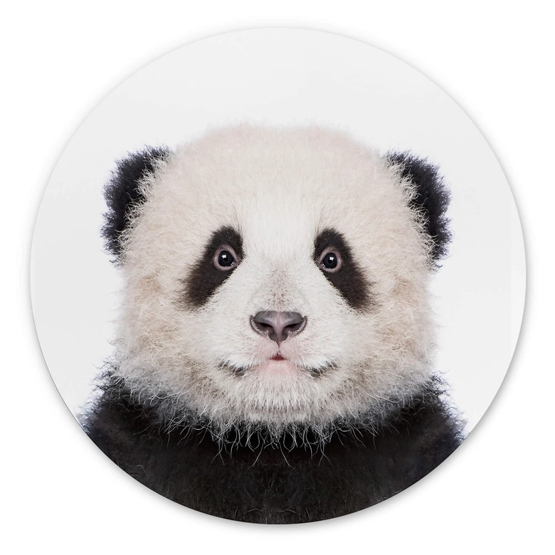 Alu-Dibond Sisi & Seb - Baby Panda - Rund 