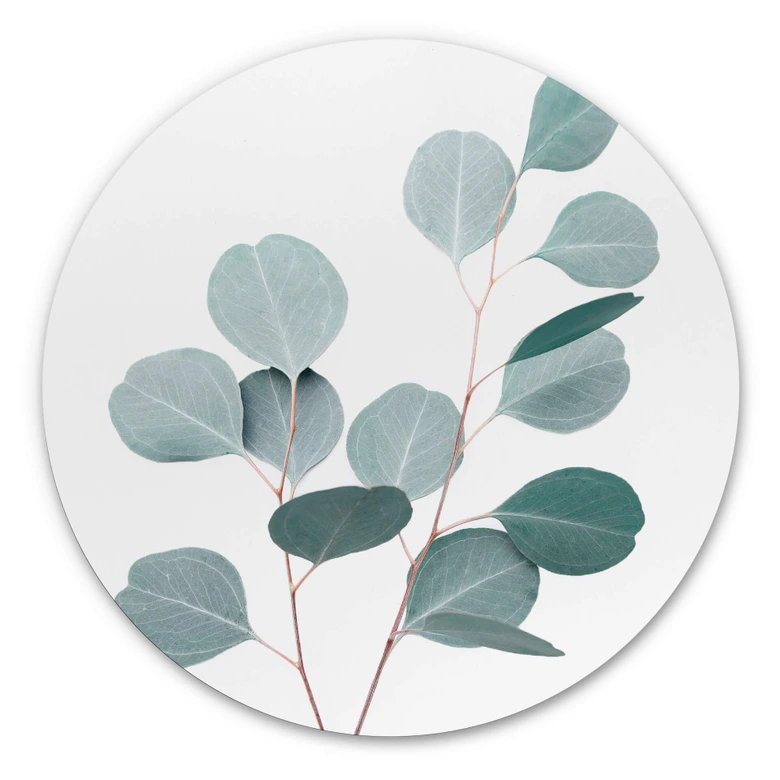 Alu-Dibond Sisi & Seb - Blauer Eukalyptus - Rund 