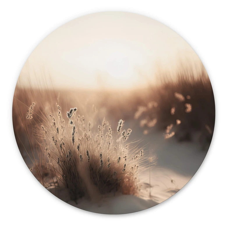 Rundes Wandbild Treechild - Sonnenuntergang über den Dünen - Alu-Dibond 