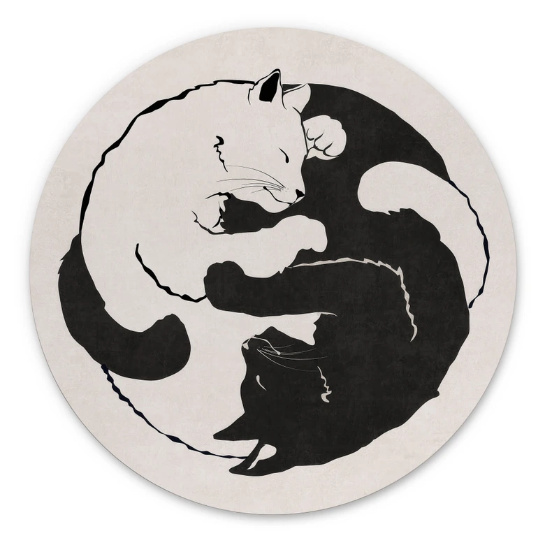 Dibond Wanddecoratie Katten Ying & Yang - Tunaboylu 