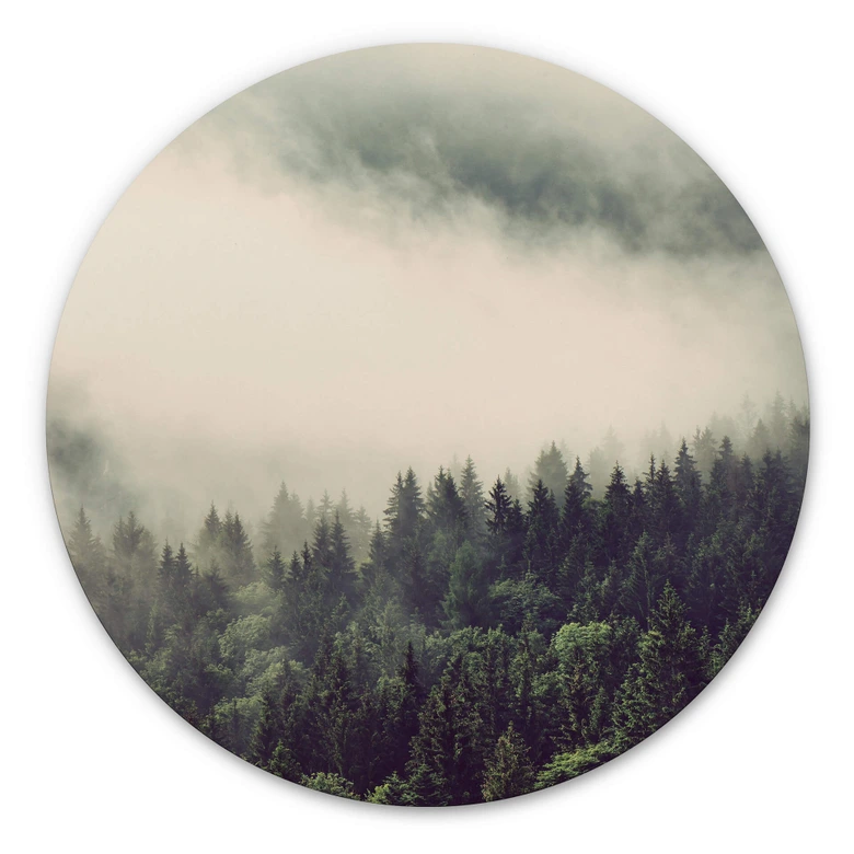Alu-Dibond Nebel im Wald 02 - Rund 