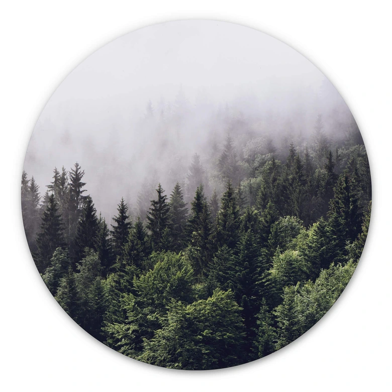 Alu-Dibond Nebliger Wald - Rund 