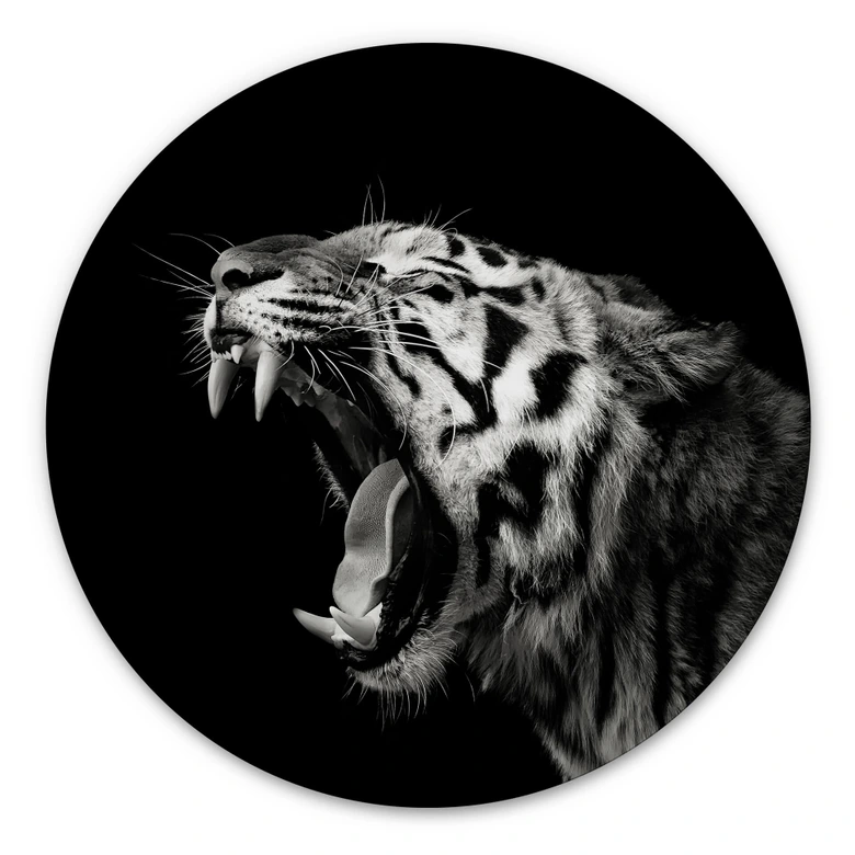 Alu-Dibond Meermann - Der Tiger - Rund 