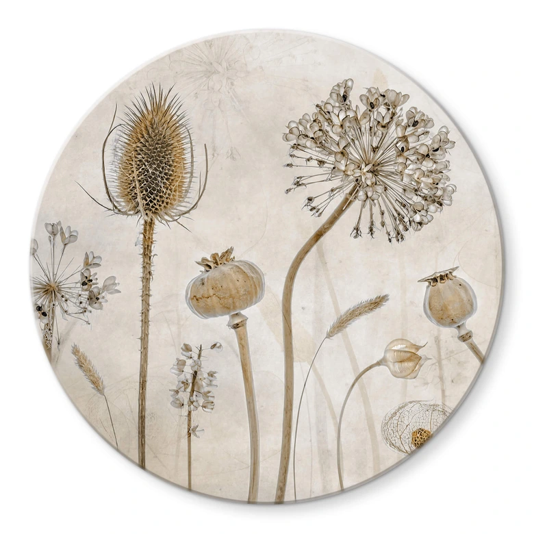Glasbild Disher - Trockenblumen - Rund 