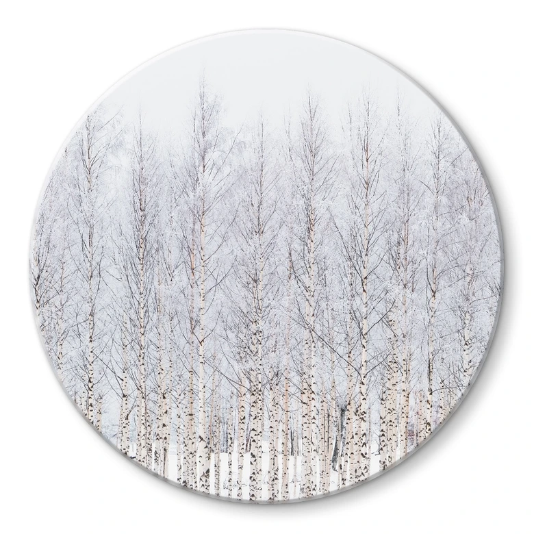 Glasbild Birkenwald im Winter - EMELIEmaria - Rund 