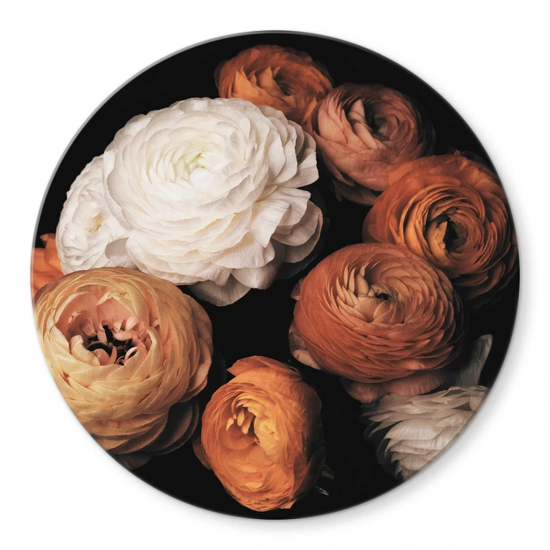 Glasbild FiguraNYC Photography - Ranunkeln Stillleben - Rund 