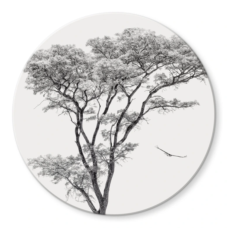 Glasbild Minimalistischer Baum in ruhiger Landschaft - Flour - Rund 