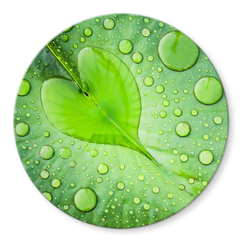 Glasbild Foto - Herz aus Wassertropfen auf grünem Blatt - Rund 