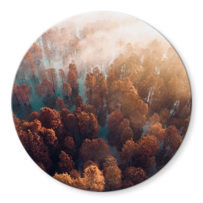 Glasbild Herbstwald im Nebel - Ioricon - Rund 