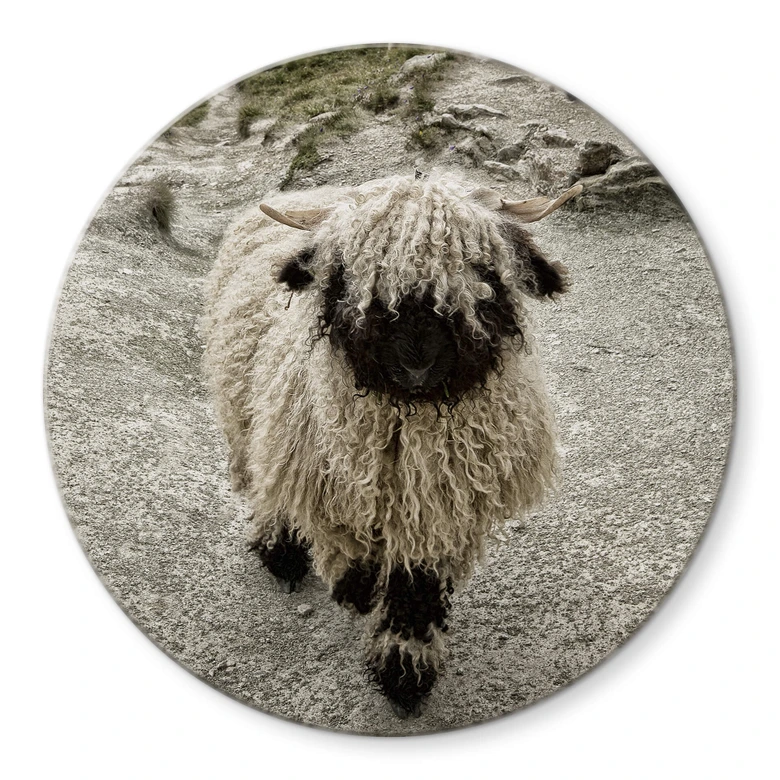 Glasbild Landolt - Ausflug in die Berge - Rund 