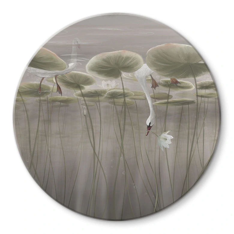 Glasschilderijen Lotusbloemen met zwaan in water in grijs - Ms Tiff - Rond 