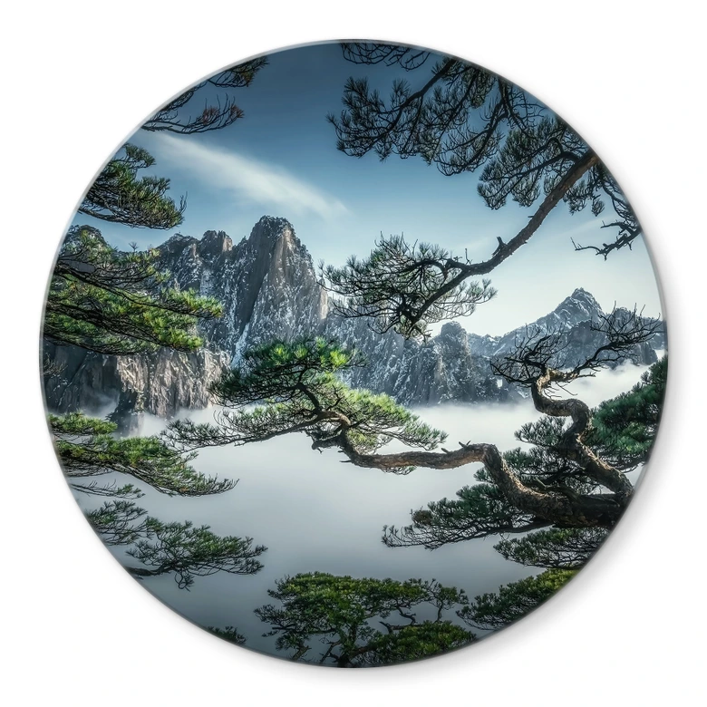 Glasbild Kiefernwald im Huang Shan Gebirge - NingYun Ye - Rund 