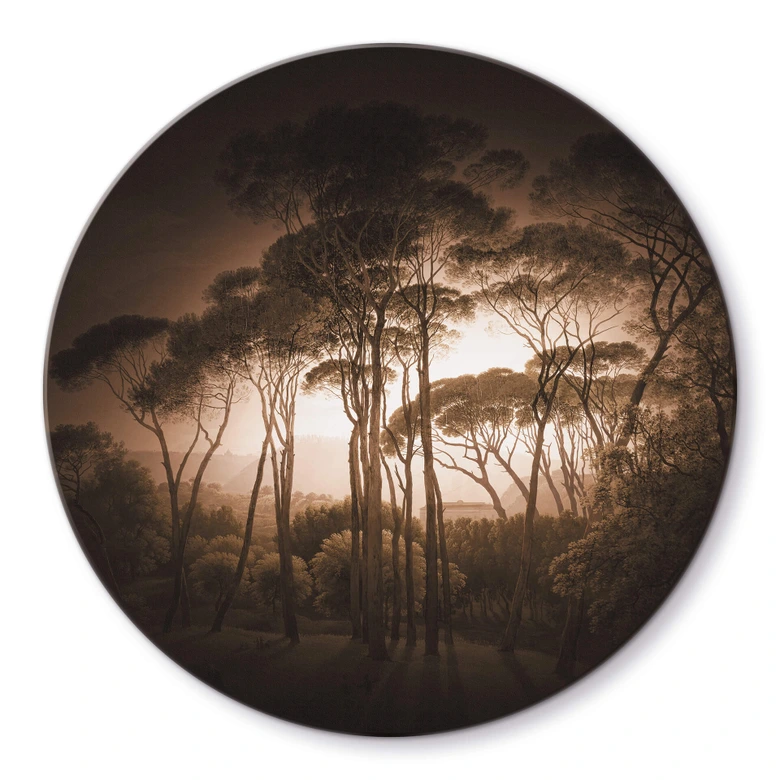 Glasbild Schirmkiefern mit Vignettierung Sepia - Rund 