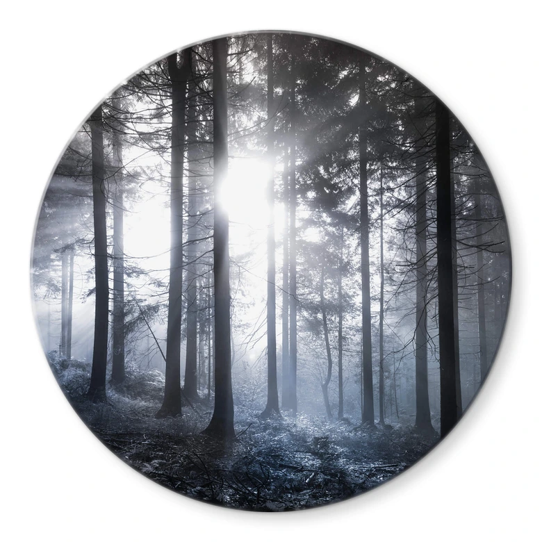 Glasbild Sonnenstrahlen im Wald Blau - Rund 