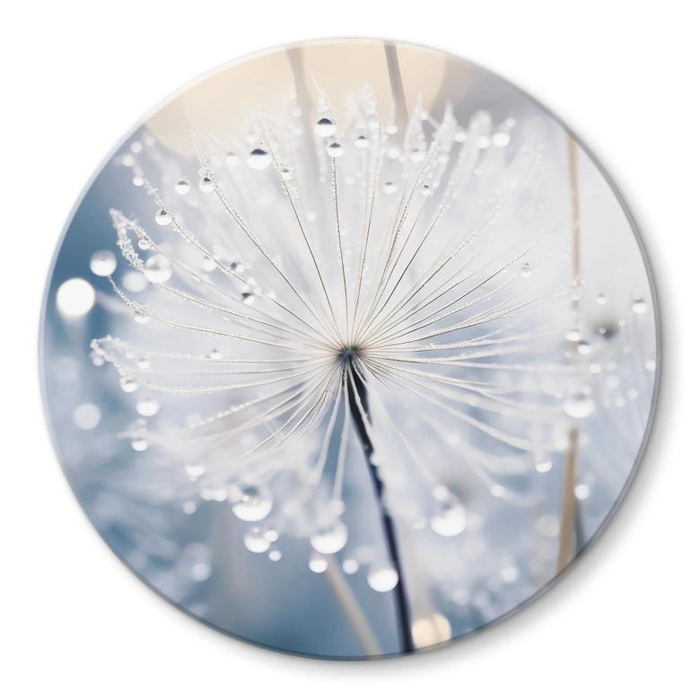 Glasschilderijen Fonkelende paardenbloemen - Treechild - Rond 