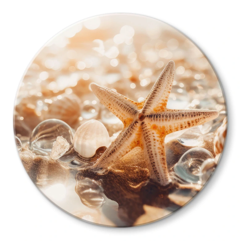 Glasbild Muscheln am sonnigen Strand - Treechild - Rund 