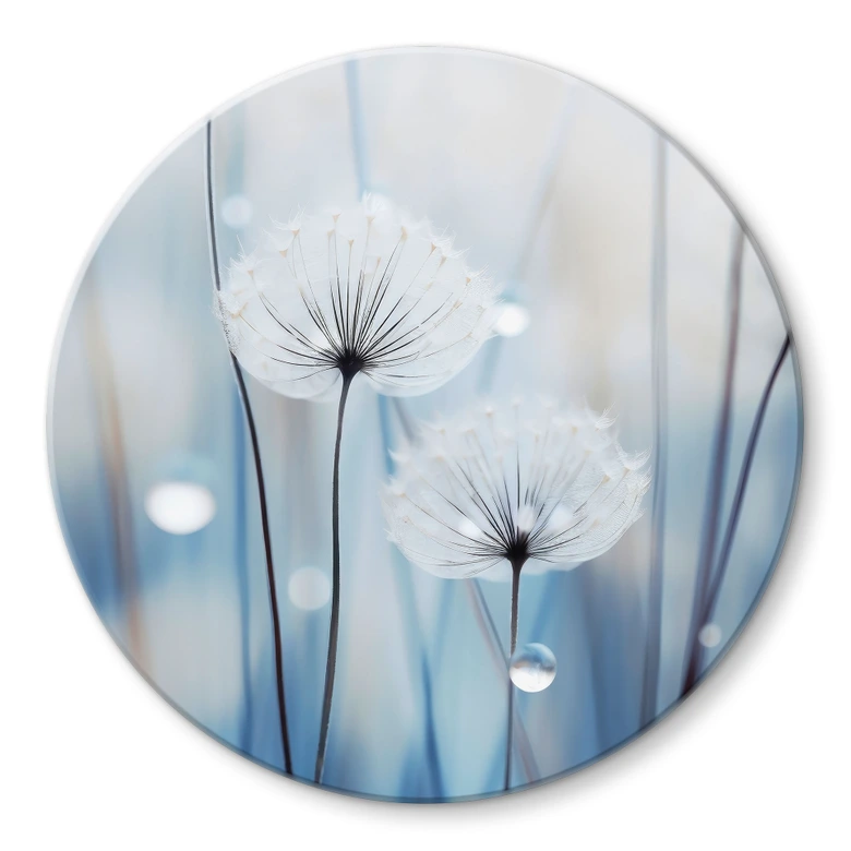 Glasbild Tauperlen auf Pusteblumen - Treechild - Rund 