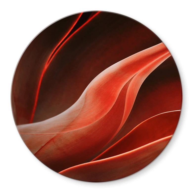 Glasbild Wechsler - Pflanzen Stillleben Agave im Herbst - Rund 