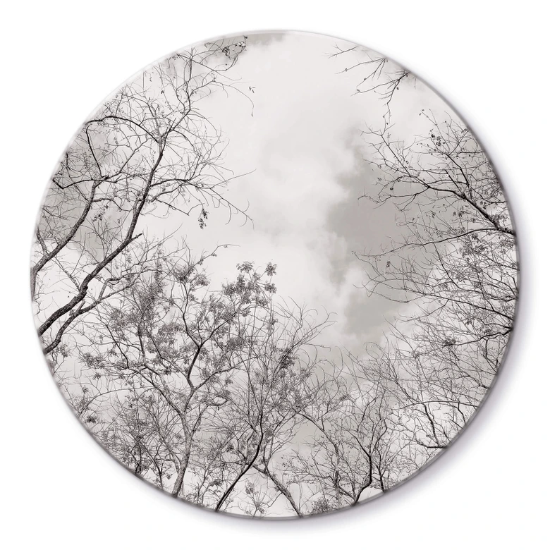 Glasbild Baumkronen im Himmel - Rund 