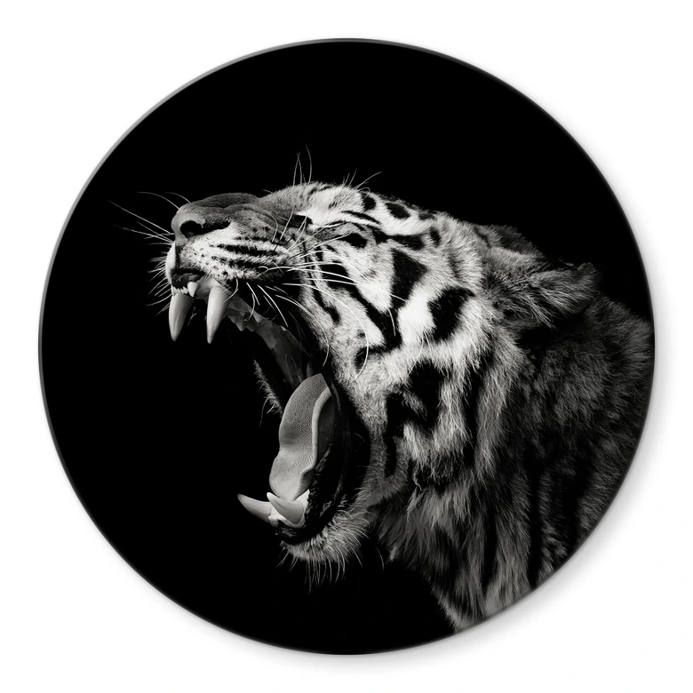 Glasbild Meermann - Der Tiger - Rund 