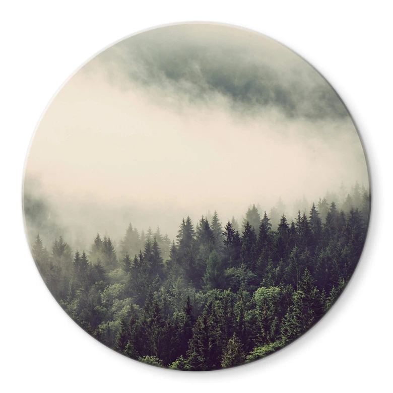 Glasbild Nebel im Wald 02 - Rund 