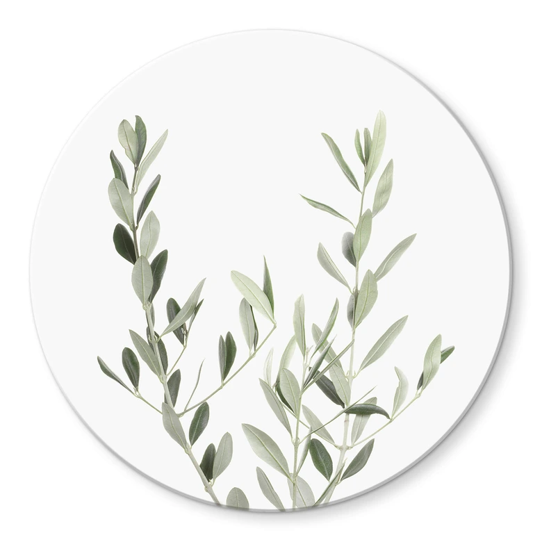 Glasbild Sisi & Seb - Olivenzweig - Rund 