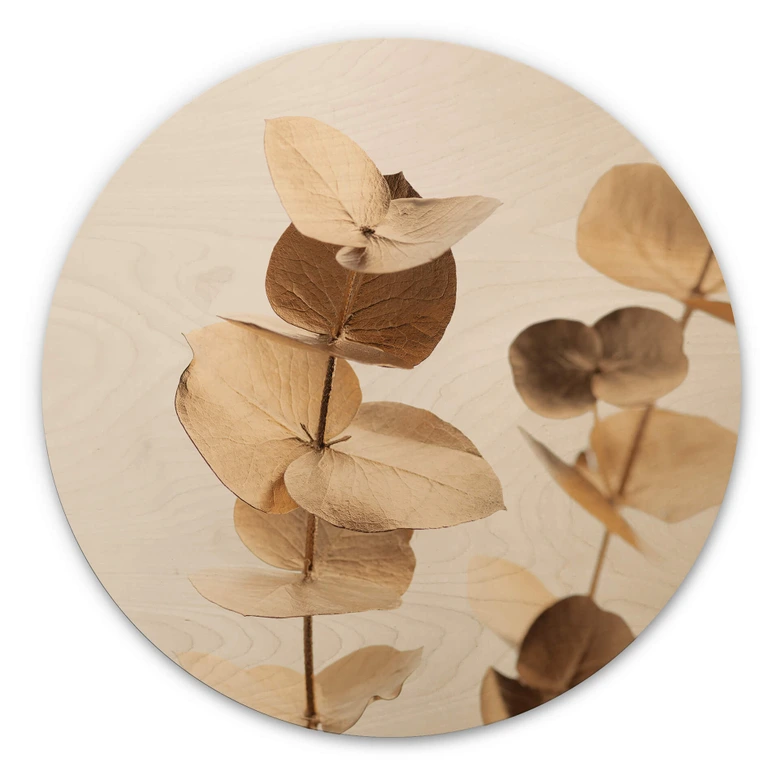 Holzbild 1X Studio - Goldener Eukalyptus - Rund 