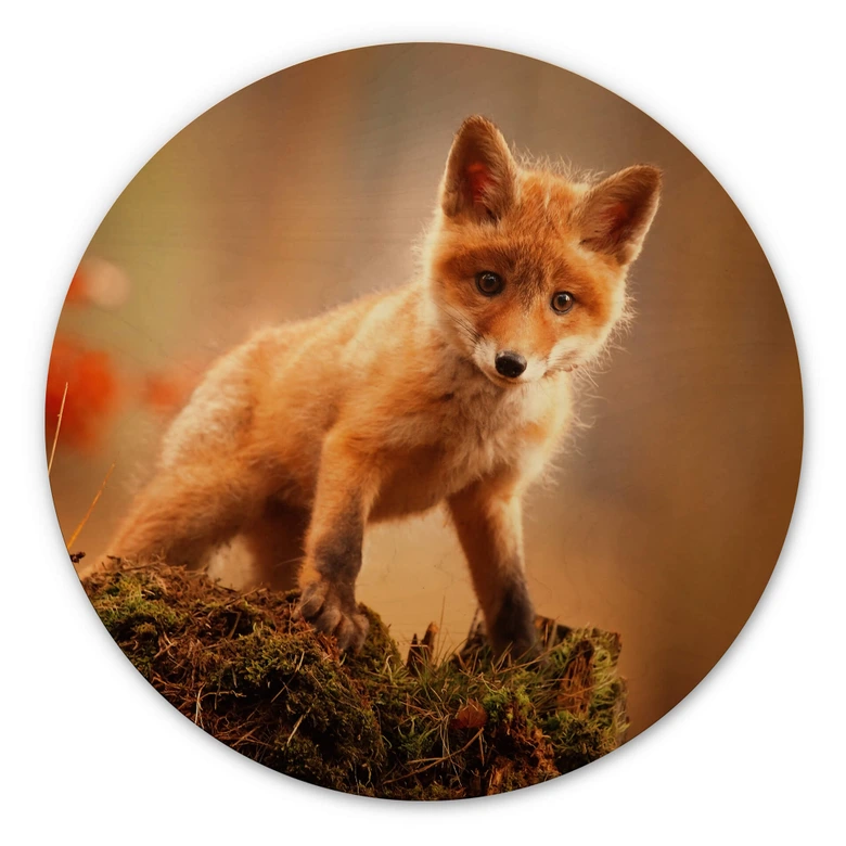 Adamec Trätavla - Ung räv i skogen - Rund 