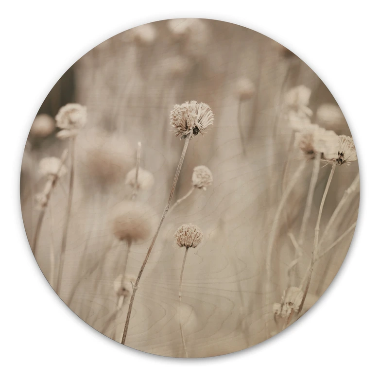 Stampa su legno Fiori secchi in colori tenui - Annie - Rotondo 