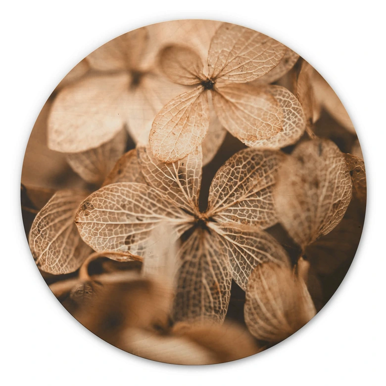 Tableau sur bois Annie - Fleurs délicates - Rond 