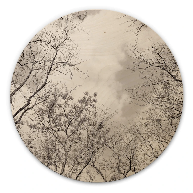 Holzbild Baumkronen im Himmel - Rund 