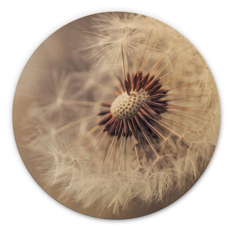 Wandcirkel Hout Delgado - Dandelions 