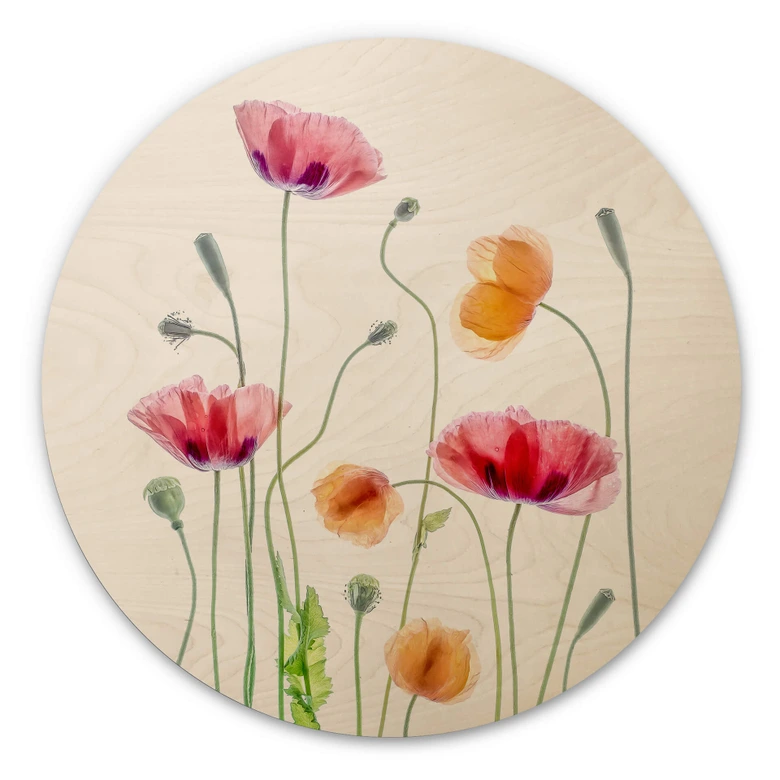 Holzbild Blumen - Bunte Mohnblumen Rund - Disher 