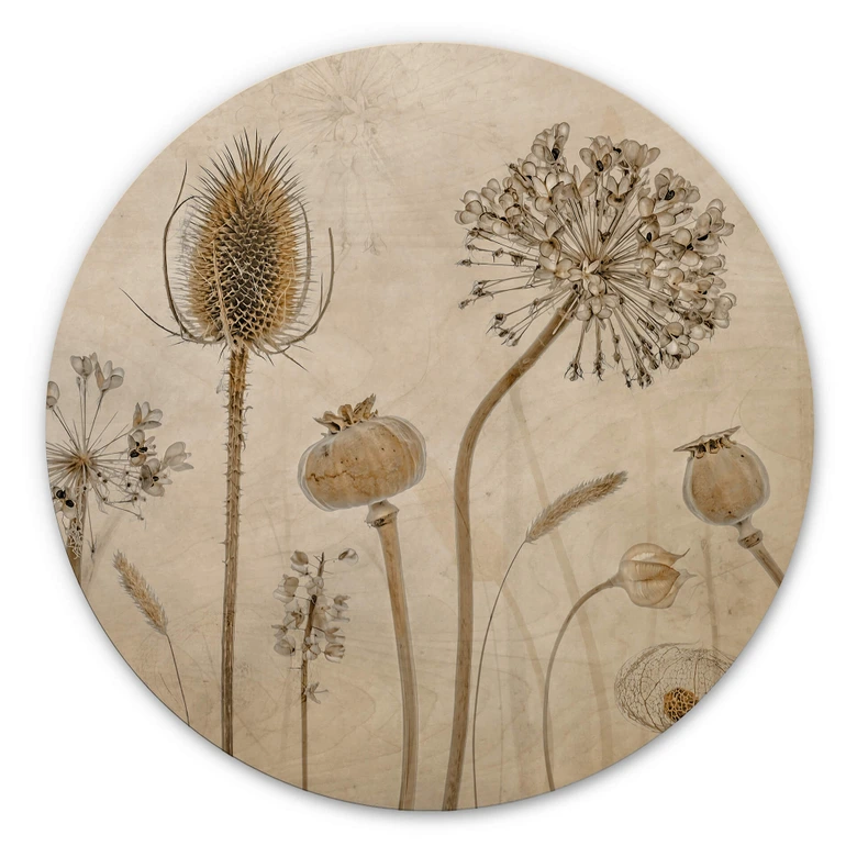 Cuadro de madera - Flores secas - Redondo 