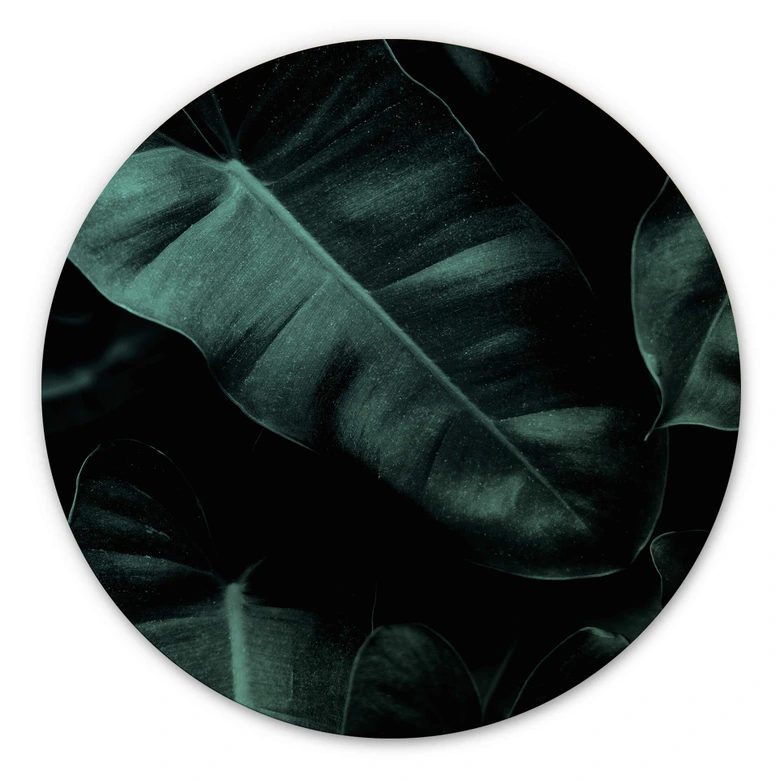 Holzbild Kubistika - Jungle - Rund 